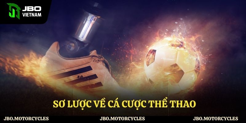 Tổng quan về cá cược thể thao Tổng quan về cá cược thể thao