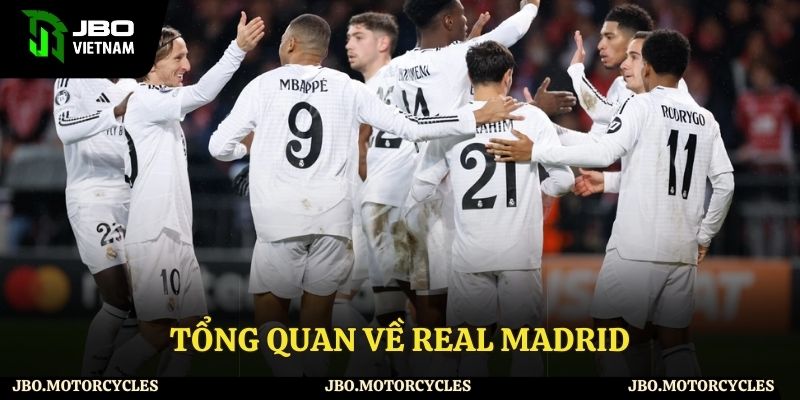 Tổng hợp thông tin về đội bóng